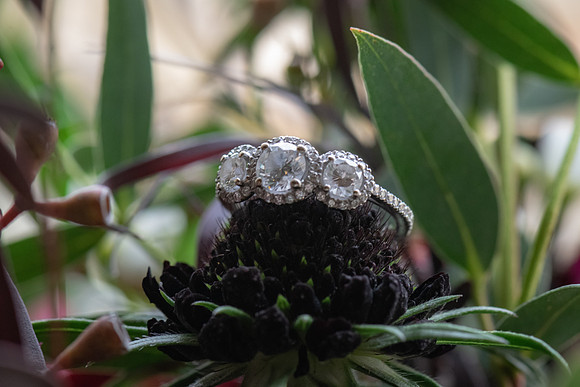 Rings-12