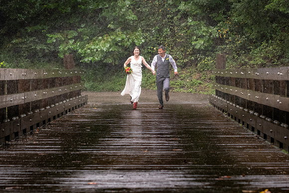 The Bridge-2