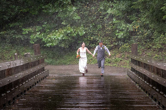 The Bridge-1