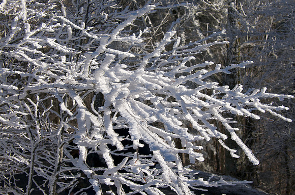 Sanders & Snow 016