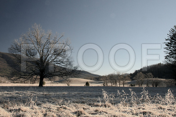Cades Cove Winter 010