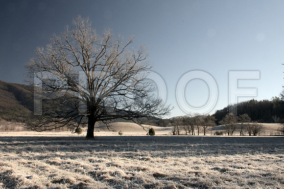 Cades Cove Winter 014