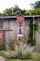 Venue & Grounds-18