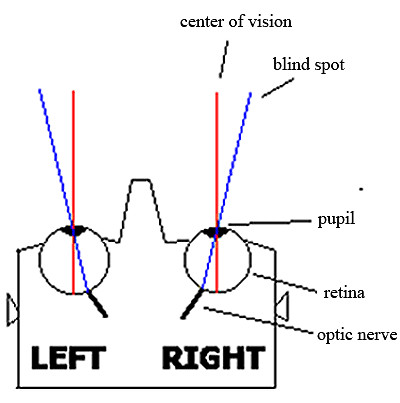 illustration-blind-spot