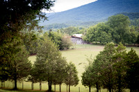 Venue & Grounds-2
