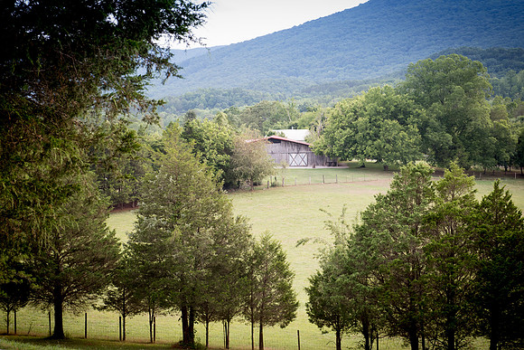 Venue & Grounds-2