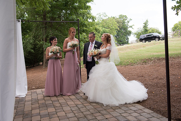 Here Comes the Bride-5