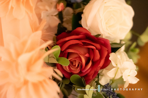 Dress, Flowers & Rings-12