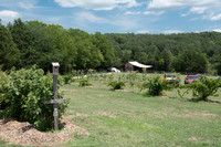 Venue & Grounds-10