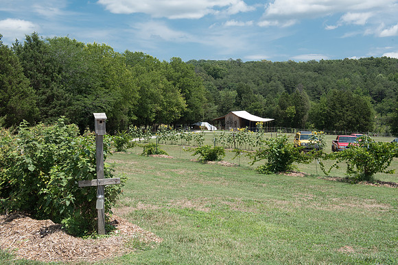 Venue & Grounds-10
