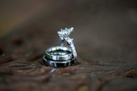 Rings-6