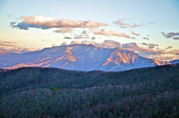 DSC_1043