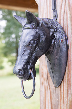 Twin Cedar Farm-9