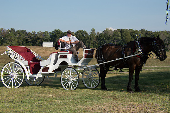 Twin Cedar Farm-13